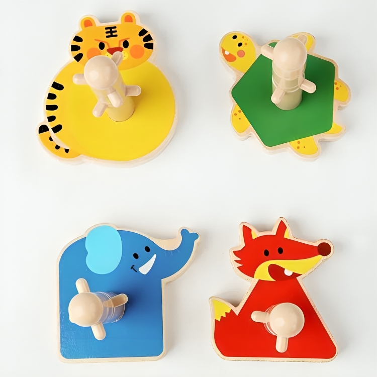Wooden Educational Building Blocks
