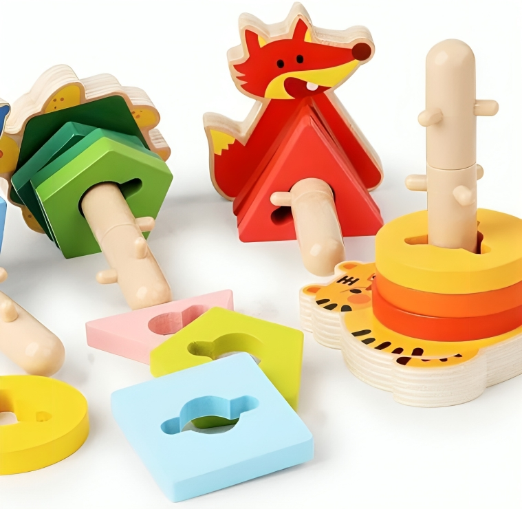 Wooden Educational Building Blocks