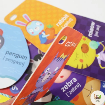 Pinwheel Baby's First Flash Cards