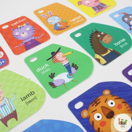 Pinwheel Baby's First Flash Cards