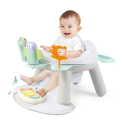 2-in-1 Baby Fitness Dining Chair