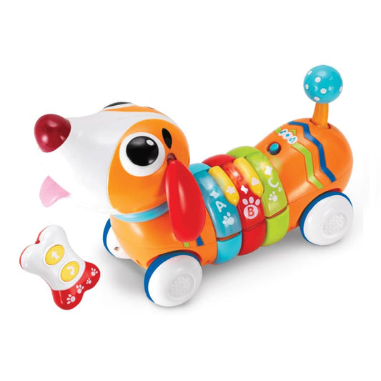 R/C Rainbow Pup
